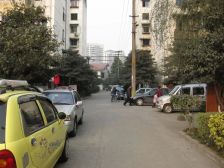 皇家花园 1室1厅 南