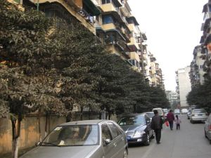 皇家花园2室1厅东