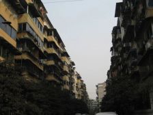 皇家花园 2室1厅 东南