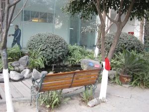 双楠美邻2室1厅东南