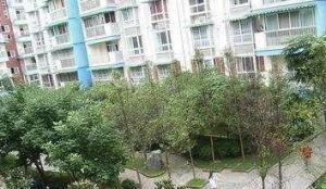 郫筒红瓦二期3室1厅东南