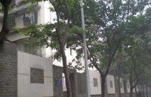 同心路116号2室1厅南