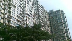 华星路10号 3室1厅 东南