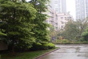 移动工程局家属院3室2厅东南