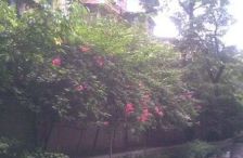 航天丙区3室2厅南