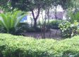 万欣明居实景图