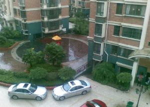 华贵苑 2室1厅 东