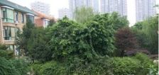 华西大厦3室2厅东南南