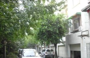 富豪佳苑二期3室2厅东南