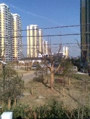 钰诚花园4室1厅东南