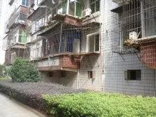 进贤仓5号三医院宿舍 南北通透,采光好 装修好,环镜优美 视野好,诚心出售