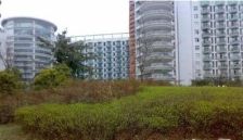 自由假日 1室 38.97平米