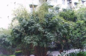 福泽美庐4室3厅东南