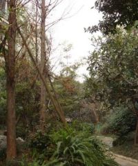 南阳小区 2室2厅 西北