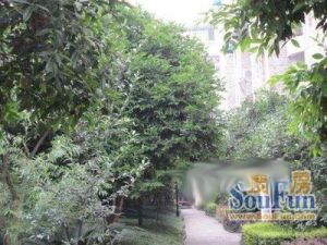 美丰花苑3室2厅东南