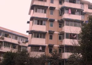 嘉合苑 3室2厅 西南