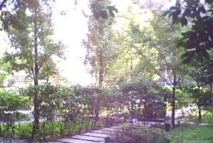 幸福风景 3室2厅 西南