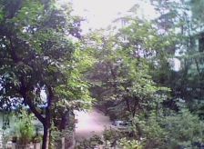 幸福风景5室2厅北