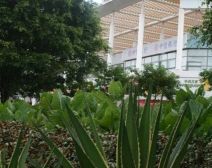 水榭花都3室2厅东南
