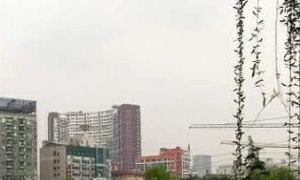 空中港湾 2室1厅 西南