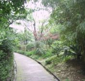 望园居2室2厅东南
