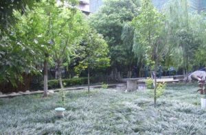 君怡苑2室1厅东南
