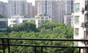 花簇锦绣 5室2厅 北