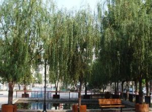 芝芝城市花园2室1厅南
