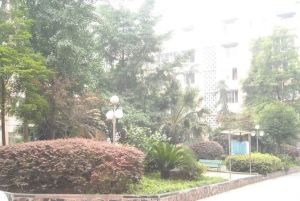 向阳花园B区 4室2厅 东南