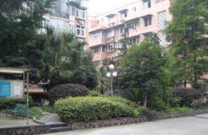 向阳花园B区4室2厅南