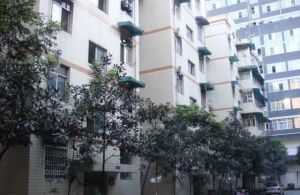 学堂南苑 2室1厅 南