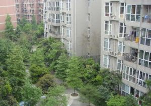 府河菁华 3室2厅 南 北