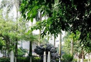美源小区1室1厅南