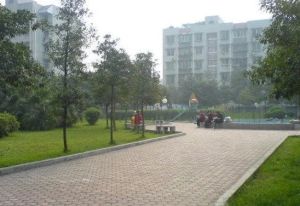 新城府景2室2厅南