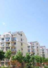 西区花园白领公寓1室0厅东南
