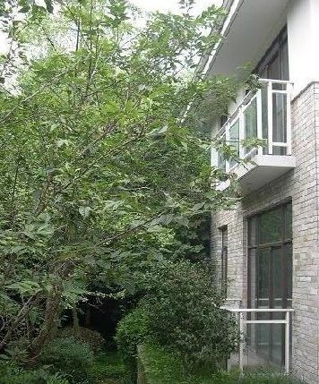 青城风景实景图