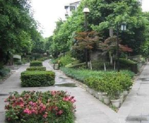 中学路15号3室1厅南北