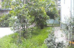 香江花园2室2厅西北