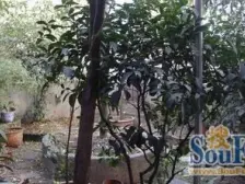 房屋配套成熟,生活便捷,业主诚心出售