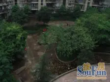 金绸花园 2室1厅 东南