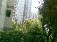 回兴 富宏苑二房41万