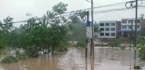 垫江电力公司家属院实景图
