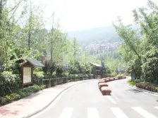 畔山洋房端户带大花园保养好带车库双车位