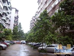前进路长运宿舍 南北通透,采光好 装修好,环镜优美 视野好,诚心出售