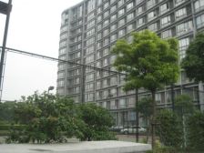 新体育广场 1室1厅 南