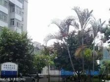 华诚北区三房东西朝向 带露台 带车位