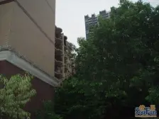 花卉园 龙溪小学教师楼四房67.9万