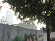 花卉园 保利椰风半岛三房120万