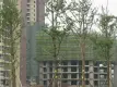 大足棠城丽都实景图