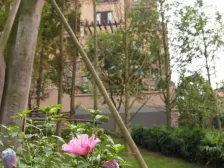 宏声大道 金科天湖小镇三房71.5万